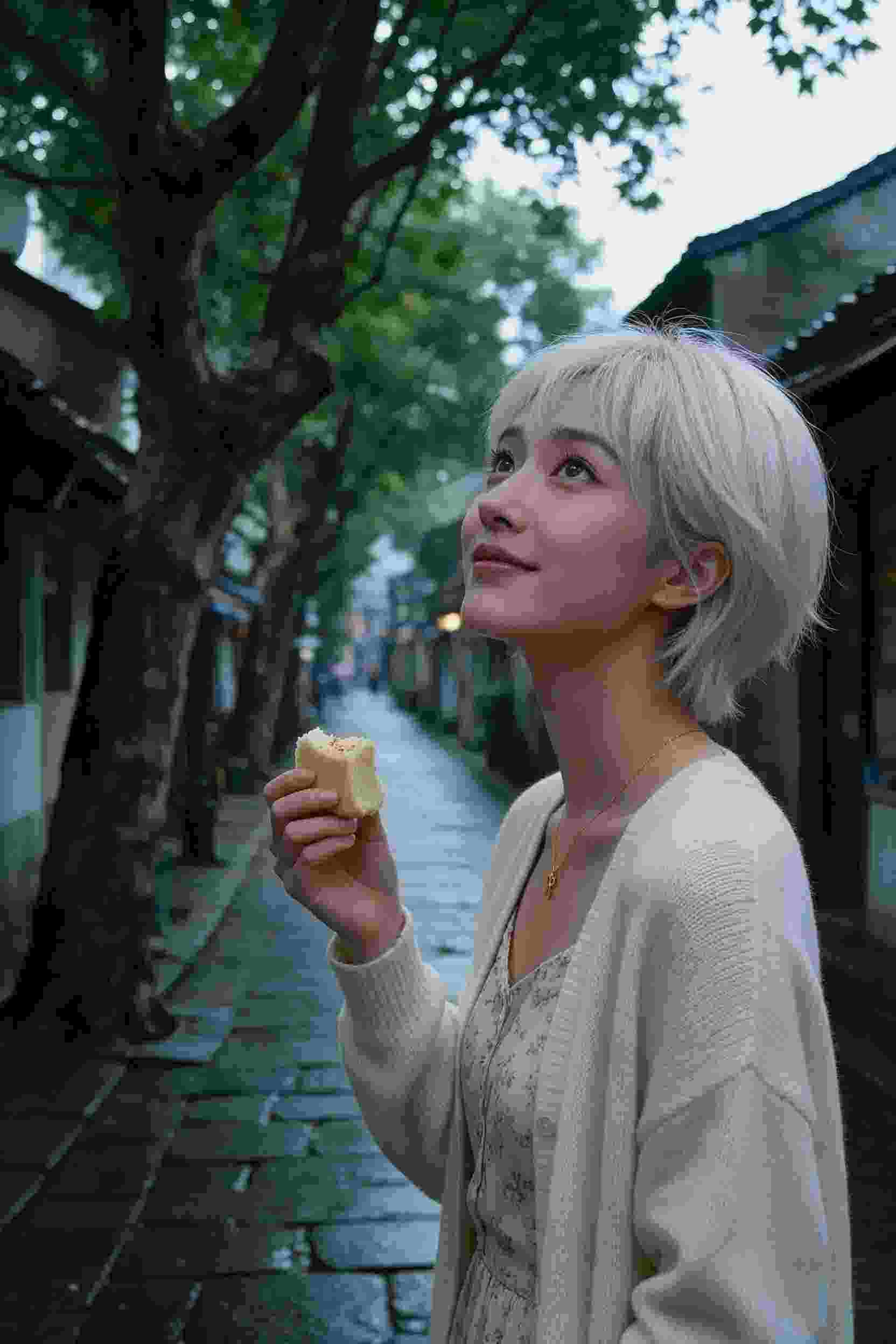 国漫作品